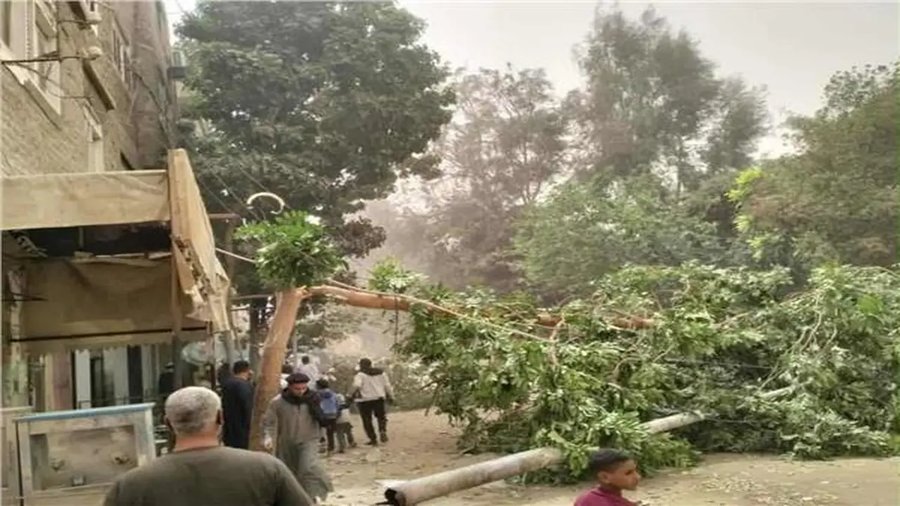 سقوط أعمدة كهرباء وأشجار إثر موجة طقس سيء تضرب محافظة قنا